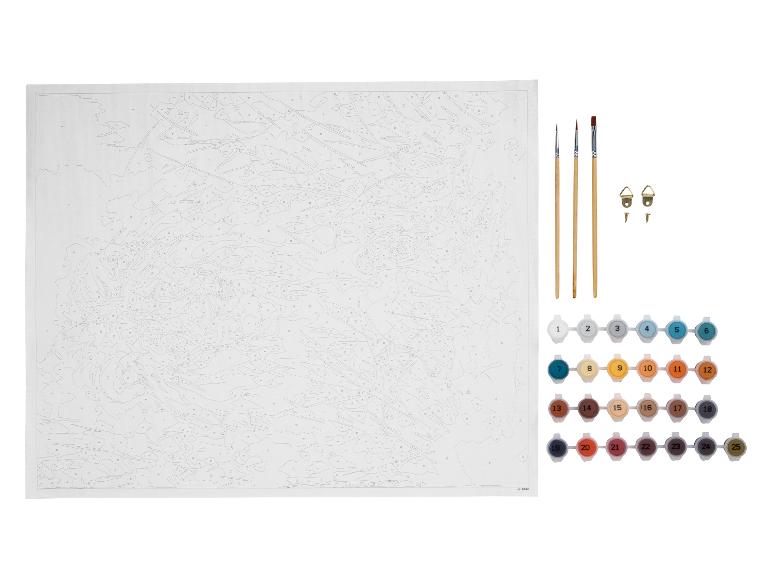 Schilderen op nummer set met canvas, penselen, haakjes en 25 verfkleuren.