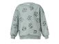 Lichtgroen sweatshirt met lange mouwen en leeuwengezichtprint.