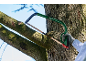 Tuinzaag met een groen frame en rood handvat die een boomtak zaagt.