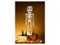 Halloween decoratie met een skelet met lichtgevende ogen, pompoenen en lichtslingers.
