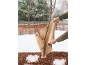 Handen wikkelen een jonge boom in jute voor winterbescherming, op besneeuwde grond.