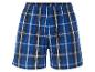 Blauwe geruite boxershort.