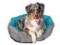 Een Australische herder in een comfortabel grijs en turquoise hondenbed.