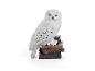 Figuur van de sneeuwwuil Hedwig op een stapel boeken uit de serie NIKE Magische Kreaturen.