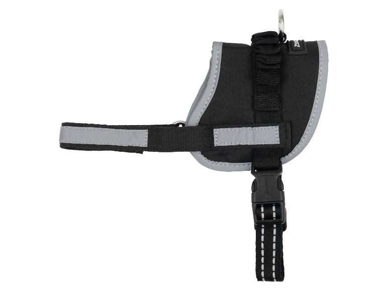 Zwart hondentuig met reflecterende details en gesp.