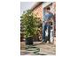 Man besproeit tomatenplant in pot met tuinslang op een terras.