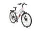 Grijze elektrische fiets met bagagedrager en een rood accent.