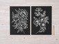 Twee zwarte kaarten met witte bloemen, waaronder rozen en pioenen, en twee potloden.