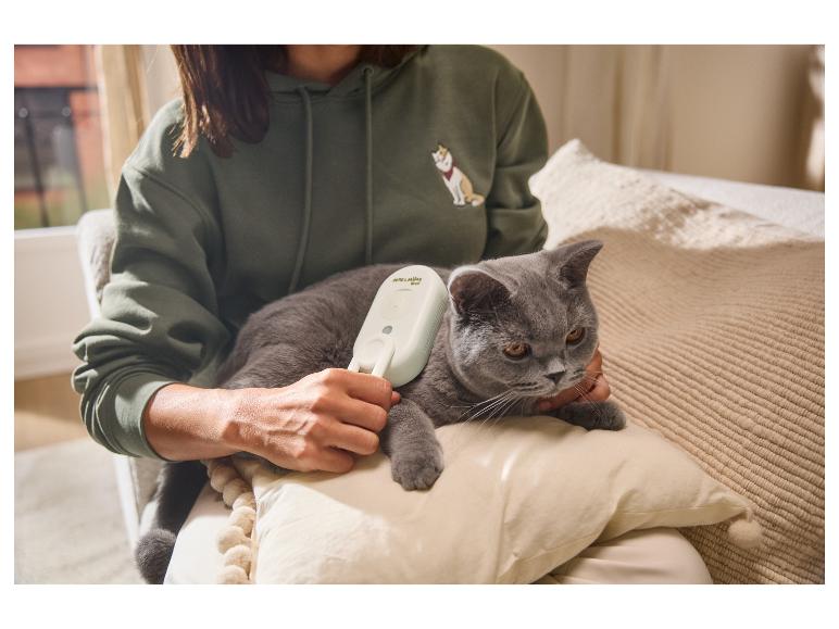 Vrouw borstelt een kat met een witte borstel, de kat is grijs, de vrouw draagt een groene hoodie.
