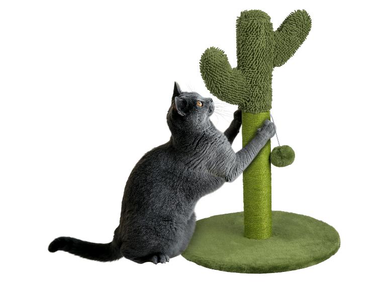 Grijze kat speelt met een cactus krabpaal.