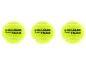 Drie gele padelballen met de tekst 'HEAD PADEL TEAM' op een zwarte achtergrond.