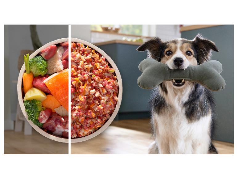 Hondenvoer: rauwe ingrediënten en gemalen mix, met een blije hond die een bot speeltje vasthoudt.