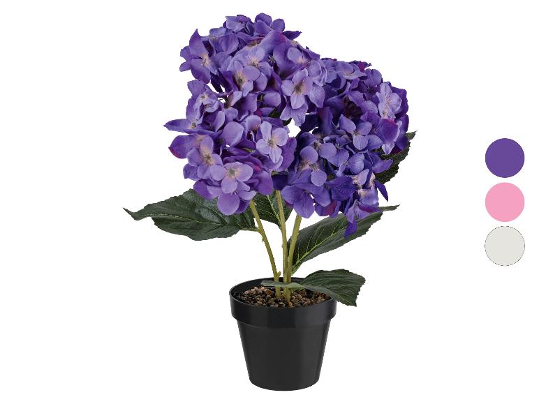 Kunstplant met paarse hortensia bloemen in een zwarte pot.