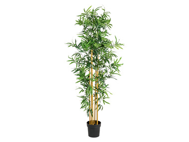 LIVARNO home Kunstplant bamboe