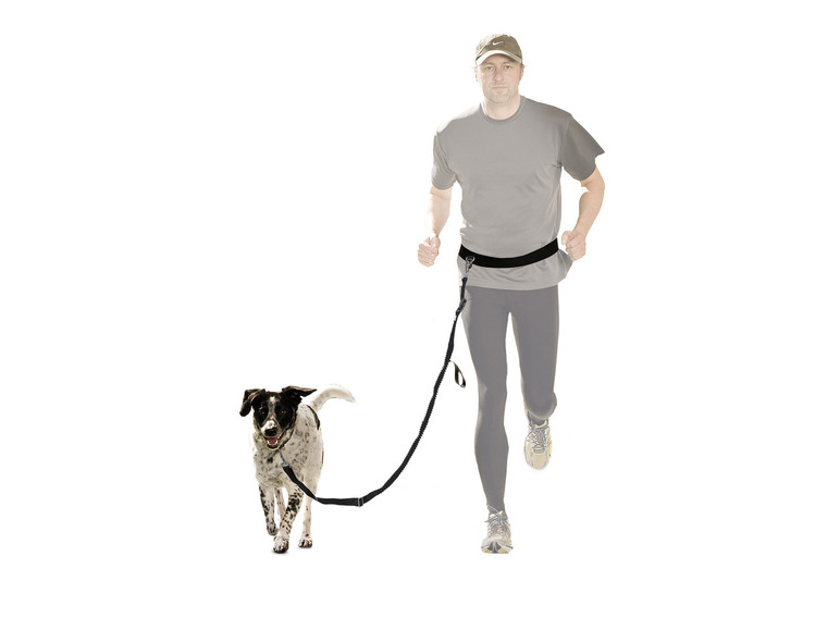 Ga naar volledige schermweergave: zoofari® Outdoor hondenriem, met reflecterende strepen - afbeelding 11