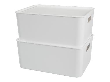 Opbergboxen met deksel 11 L - 2 stuks