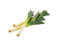 Drie verse preien met witte stengels en groene bladeren, diagonaal gerangschikt.