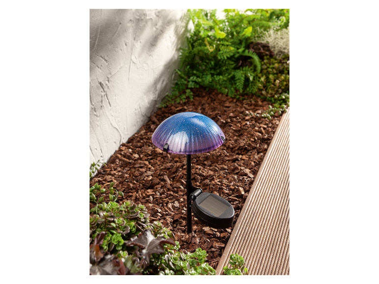 Solar lamp in de vorm van een paddenstoel in een tuin.