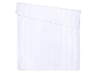 LIVARNO® Dekbed 200 x 200 cm