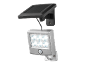 Zilveren LED-zonnelamp met bewegingssensor