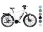 Witte elektrische fiets met bagagedrager en diverse kleuropties.