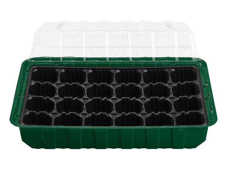 Groene zaaitray met transparante deksel en 24 cellen.