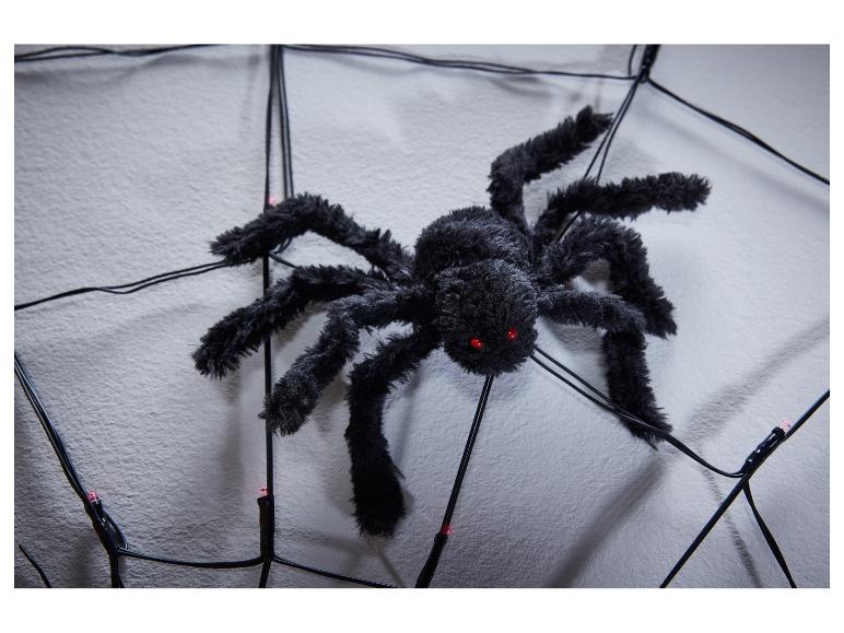 Een zwarte harige spin met rode ogen op een verlicht spinnenweb.