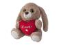 Een bruine pluche hond met een rood hart met 'Love' erop.