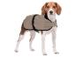 Beagle in een beige hondenjas met zwarte bies