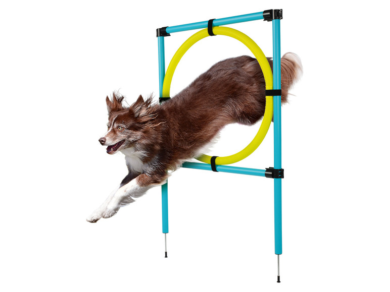 Ga naar volledige schermweergave: zoofari® Honden agility set - afbeelding 5