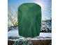 Groene plantenhoes in een besneeuwde, zonnige tuin.