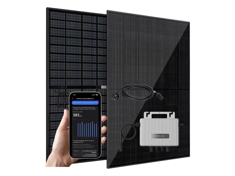 Zonnepanelen met EcoFlow-omvormer en een smartphone die energiedata toont.