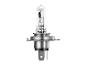 H4 autohalogeenlamp