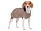 Beagle hond in een bruine hondenjas, staand en recht vooruit kijkend.