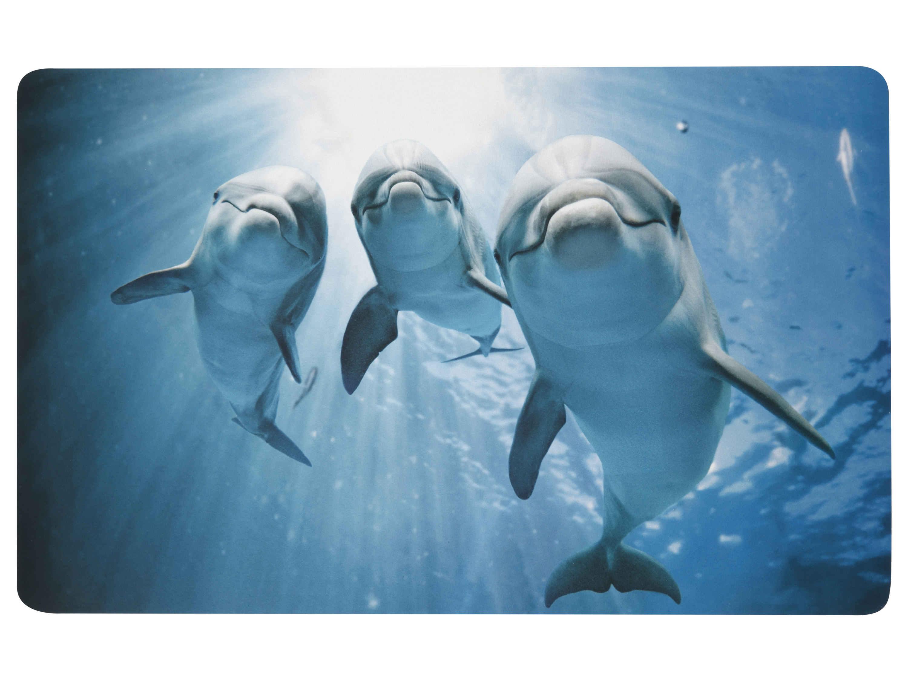 LIVARNO Badmat 50 x 80 cm (Dolfijn)