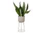 Sansevieria met groene bladeren en een grijze pot op een metalen standaard.
