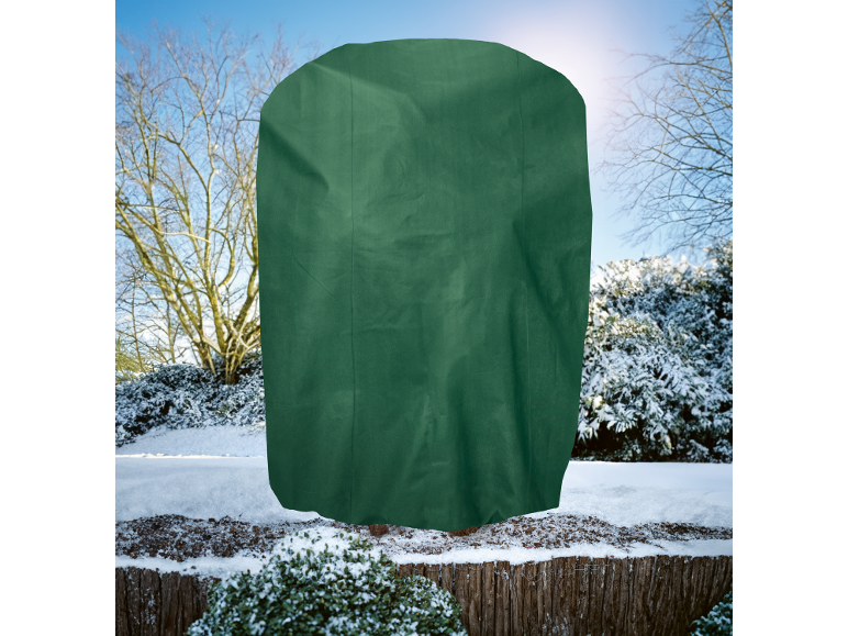 Groene plantenhoes in een besneeuwde, zonnige tuin.