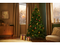 Kerstboom met lichtjes en versieringen, cadeaus, een lichtgevende ster in het raam.