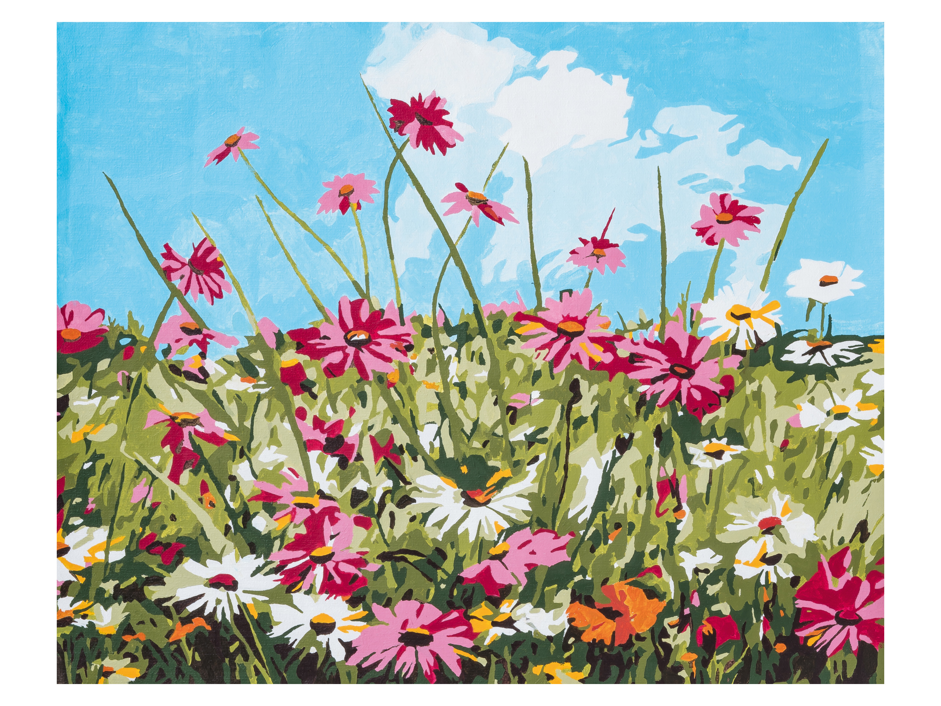 crelando Schilderen op nummer (Bloemen)