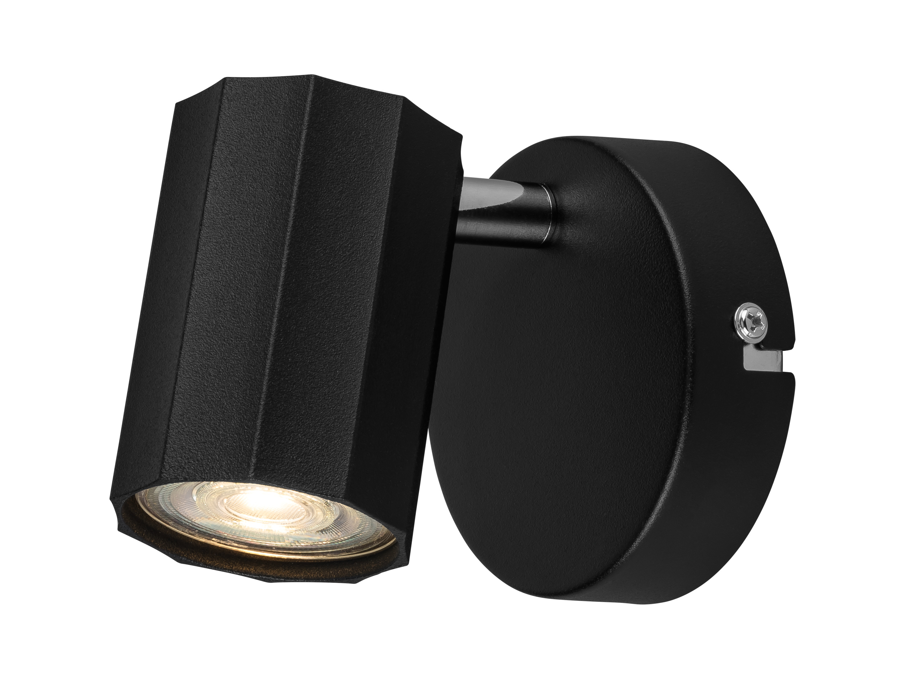 LIVARNO HOME Plafondlamp (Rond/zwart)