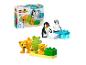 LEGO Duplo 10442: wilde dierenfamilies – pinguïns en leeuwen, 10 stuks