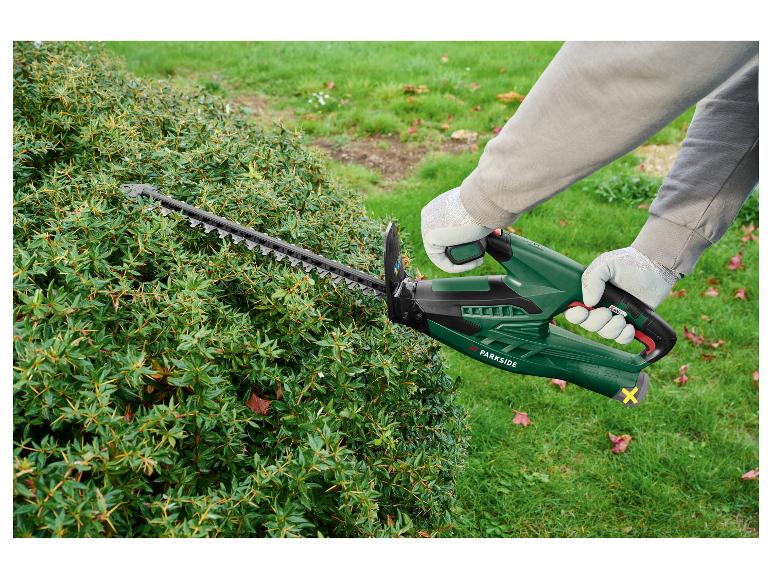 Persoon snoeit een doornige struik met een heggenschaar