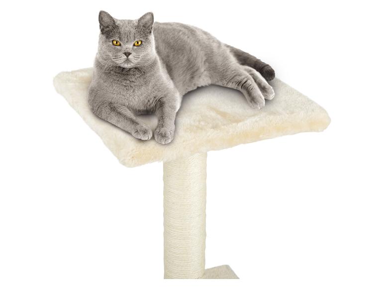 Een grijze Britse kat ligt op een krabpaal.