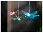 Hangende LED-libelle lampjes in diverse kleuren.