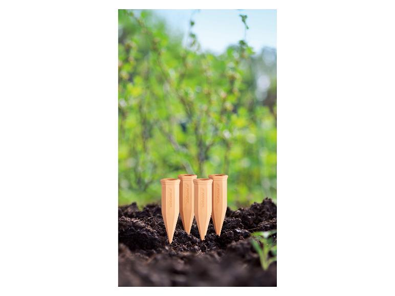 Plantenbewateringspinnen in de grond, met een wazige groene achtergrond.