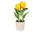 Gele tulpen in een pot