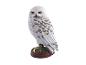 The Noble Collection Hedwig sculptuur op een decoratieve standaard