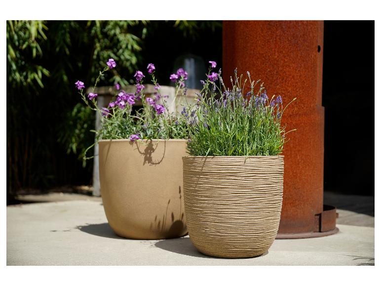 Twee potten met lavendel en paarse bloemen op een terras.