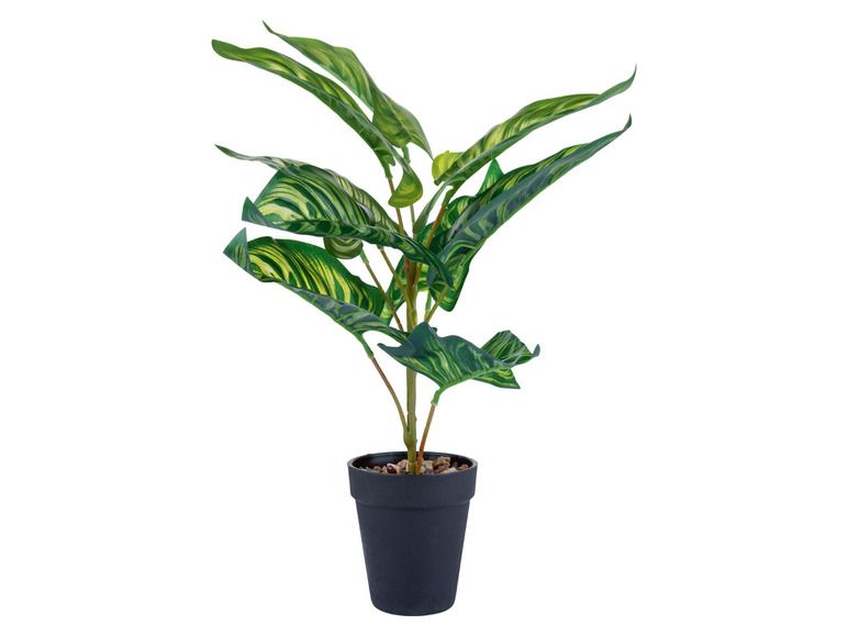 Een kunstplant met groene bladeren in een zwarte pot.