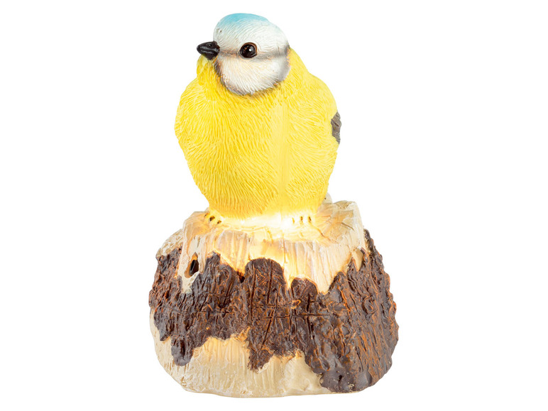 Ga naar volledige schermweergave: LIVARNO home LED-decoratievogel met bewegingsmelder - afbeelding 15
